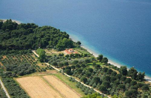 Sungate Beach - Photo 27