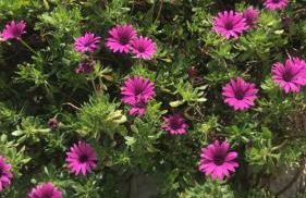 Agriturismo Molle - Foto 15