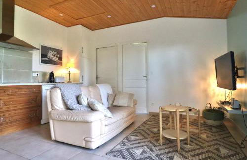 Appartement avec jardin privatif et équipements modernes - FR-1-813-9 - Photo 5