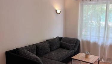 Apartment Mahira im Luftkurort Schindeldorf - Foto 4