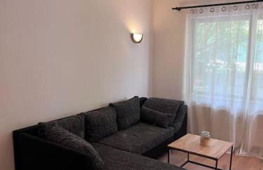 Apartment Mahira im Luftkurort Schindeldorf - Foto 4