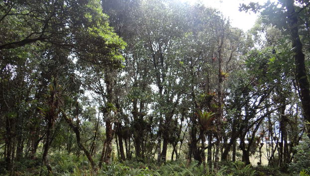 Paisajes de la laguna de la Cocha