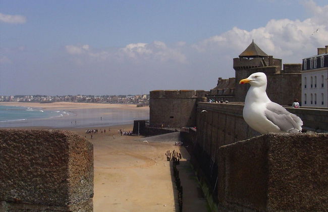 Apartment, Matignon - Photo 12