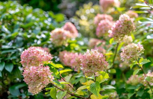 1 Bed in Belper oc-pk919 - Foto 18