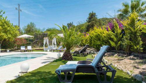 Villa Albaladejo - Photo 3, Garden, Garden view