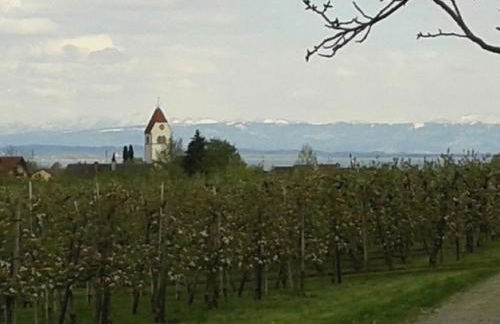 Apartment am Kniebach - Foto 11