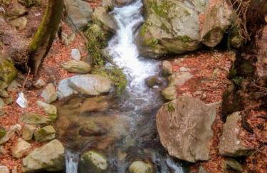 Traditional house at Pelion seaside - Foto 59