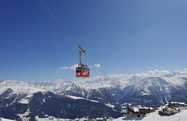 Stachelbeere UG - Foto 11