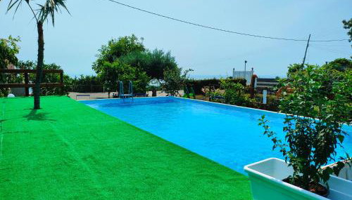 Il Limoneto di Leo - Photo 2