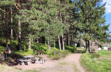 Haus Wander-Lust - Foto 66