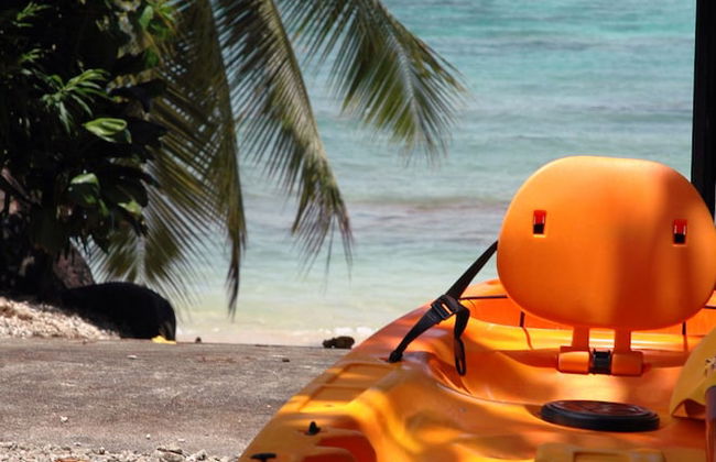 Taveuni Palms - Photo 42