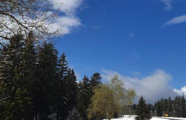 Fewo Schwarzwald Von Oben - Kniebis - Foto 20