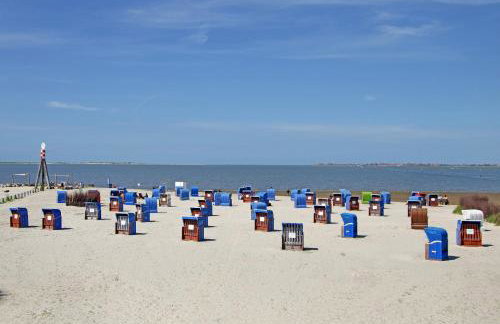 Seeschwalbe Hilgenriedersiel - Photo 11