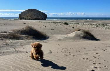 Apartamento de 3 dormitorios a 60 m de la playa en la Isleta, Cabo de Gata - Foto 46