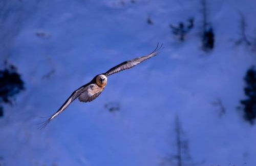 La Cachette Relax CIR 0001 - Foto 27