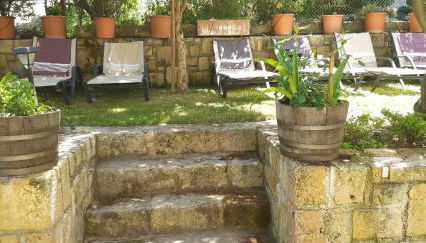 Cactus - Foto 5, Garden