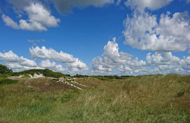 4 Person Holiday Home in Hals - Foto 4