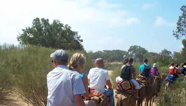 Esperienza a dorso di cammello con cena barbecue - Foto 4