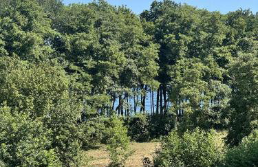 Zalotna Mewa Gąski - Photo 64