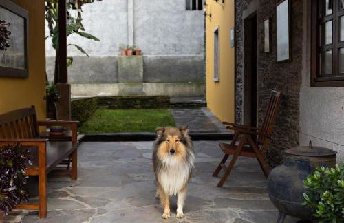 Casa A Curiscada - Foto 16