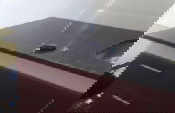 Módulo Monoambiente - Foto 7