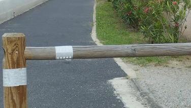 Les Cigalines - Photo 5