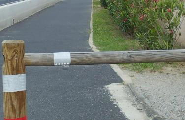 Les Cigalines - Photo 5