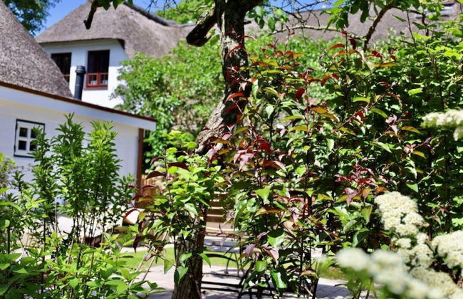 House in Nieblum Near Family Beach - Foto 27