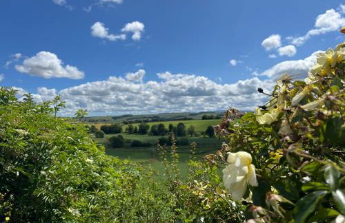 Garden Bank Cottage - Foto 31