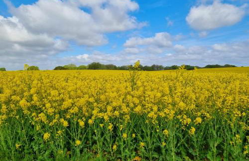 **Ferienhaus Kehrwieder** nahe der OSTSEE - Foto 19