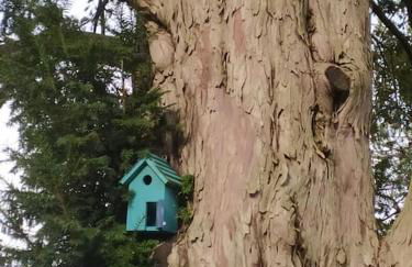 La casa nel Monferrato "LA CONTENTËSSA" - Photo 46