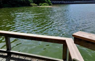 gîte en campagne Lamégritnière - Foto 61