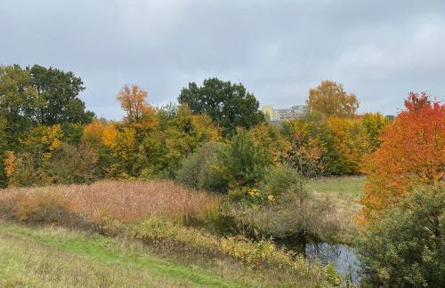 Saunahäuschen - Foto 17