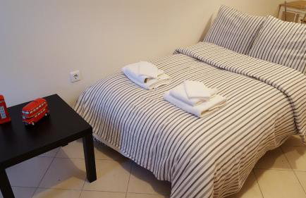 Patras Palm Tree - Foto 55