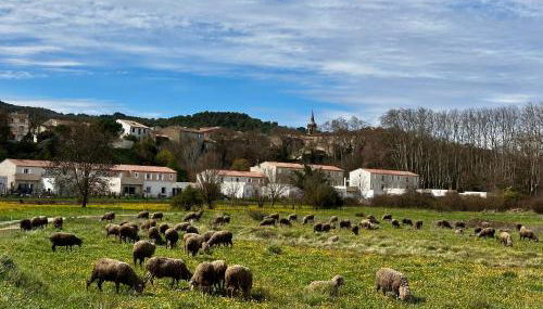Le 29 Grimaldi - studio 2 personnes - Foto 4