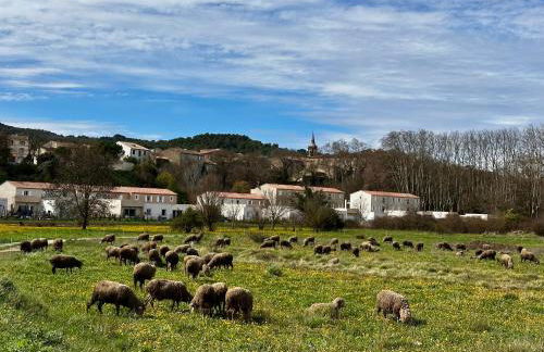 Le 29 Grimaldi - studio 2 personnes - Foto 4