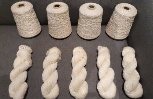 Rampisham Hill Farm Barn - Foto 22