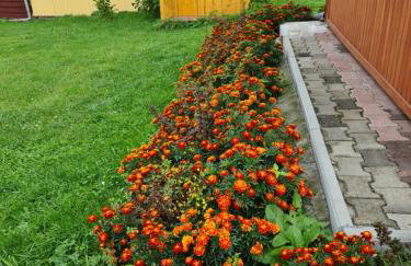 Rodzinny Apartament na Kaszubach - Foto 37