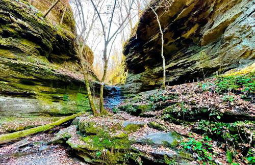 Lakefront Cabin with Fire Pit in Carbondale, Illinois - Foto 11