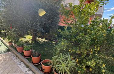 Palm Beach - Foto 30