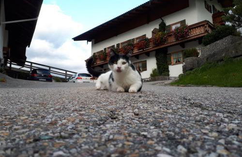 Gästehaus Pfnürlehen - Foto 10