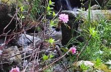 Apt confortable au pied des pistes et de la forêt - Foto 55