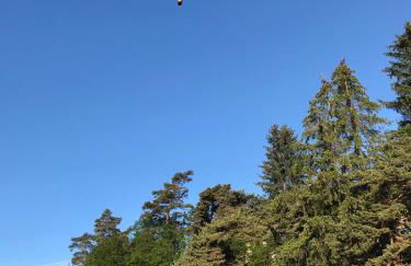 La crémaillère - Foto 1