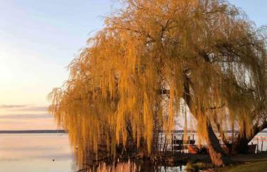 Schöne, große Ferienwohnung beim Steinhude Meer mit schnellem WLAN & Arbeitsplatz - Foto 39