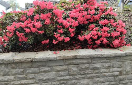 Schöne Ferienwohnung Nähe Biggesee - Foto 13