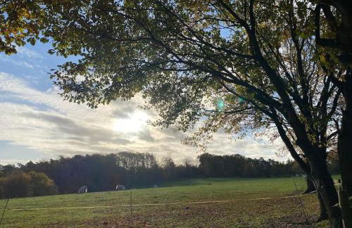 Idyllische Familien-Oase - Foto 64