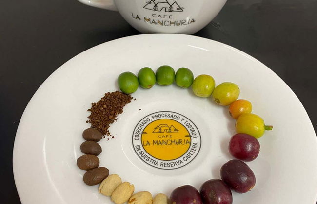 Tour por una finca de café de Salgar - Foto 8