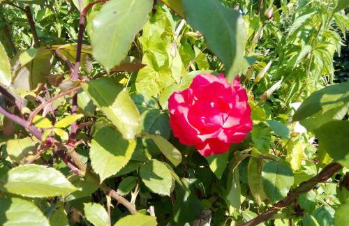 La fermette du Marais - Foto 51