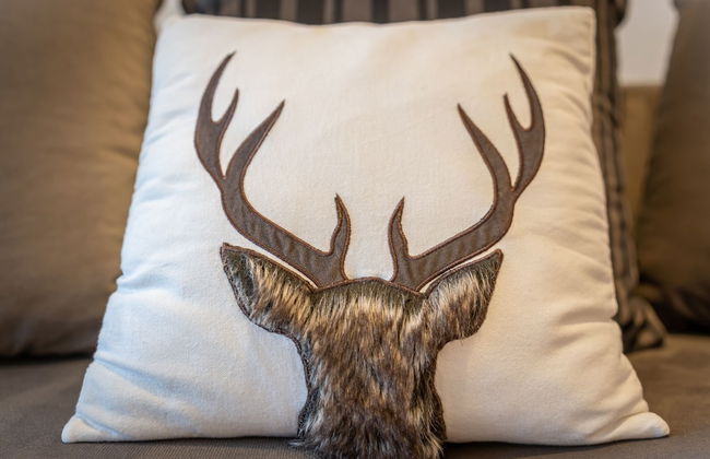 Apartment Hallstatt Dachstein Inn - Foto 9