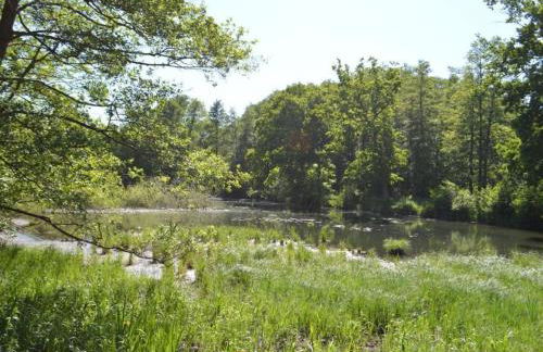 Holiday Home Landhaus by Interhome - Foto 12